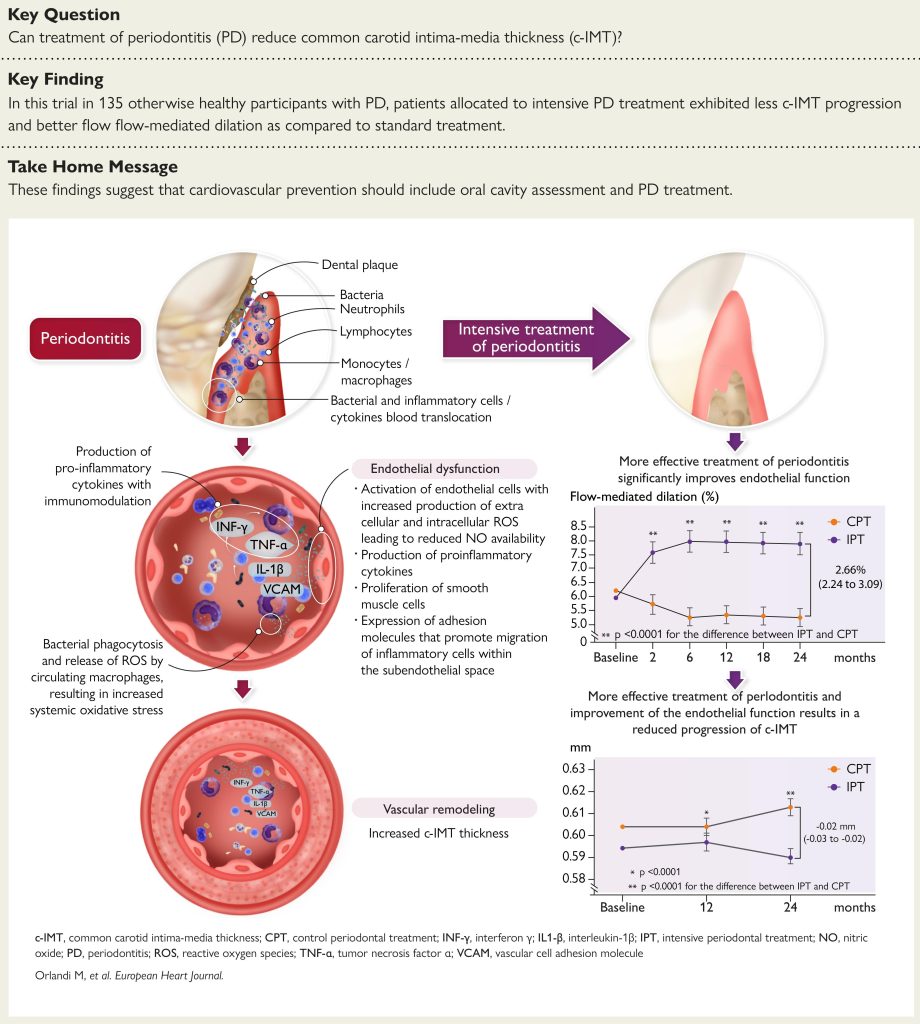 Impact of periodontitis on vascular health and changes in the endothelial function (assessed by flow mediated dilatation [FMD]) and common carotid intima-media thickness (cIMT) following treatment of periodontitis in the test (IPT) and control group (CPT). IPT, Intensive periodontal treatment; CPT, control periodontal treatment.